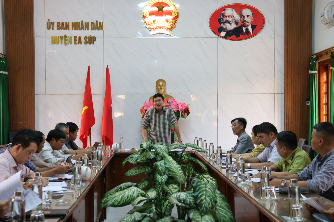 Giám sát về công tác trồng rừng, phát triển rừng tại huyện Ea Súp